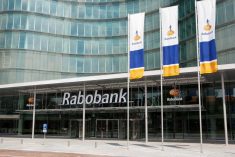 File photo of Rabobank&#8217;s office building in Utrecht. (Rabobank.com)

