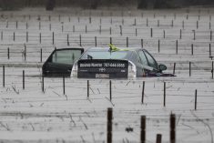A submerged and abandoned car is seen in floodwaters near a vineyard after winter storms at Forestville, California on Jan. 13, 2023. (Photo: Reuters/Fred Greaves)