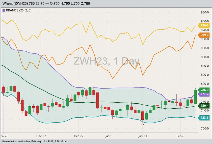 CBOT March 2023 soft red winter wheat with Bollinger bands (20,2), MGEX March 2023 hard red spring wheat (yellow line) and K.C. March 2023 hard red winter wheat (orange line). (Barchart)
