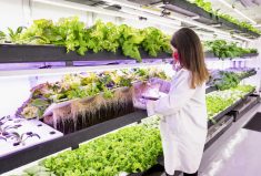 Researchers are working towards a closed-loop system and Graham predicts the growing systems will also get more efficient as artificial intelligence, robotics, machine learning and feedback from the data sensors are utilized more effectively.