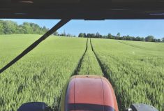 In 2021 Kyle Jewell won gold in winter wheat yield with 4.04 tonnes (148.4 bu.) per acre.
