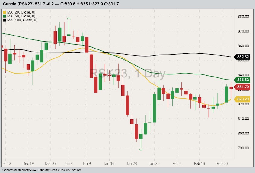 ICE May 2023 canola with 20-, 50- and 100-day moving averages. (Barchart)
