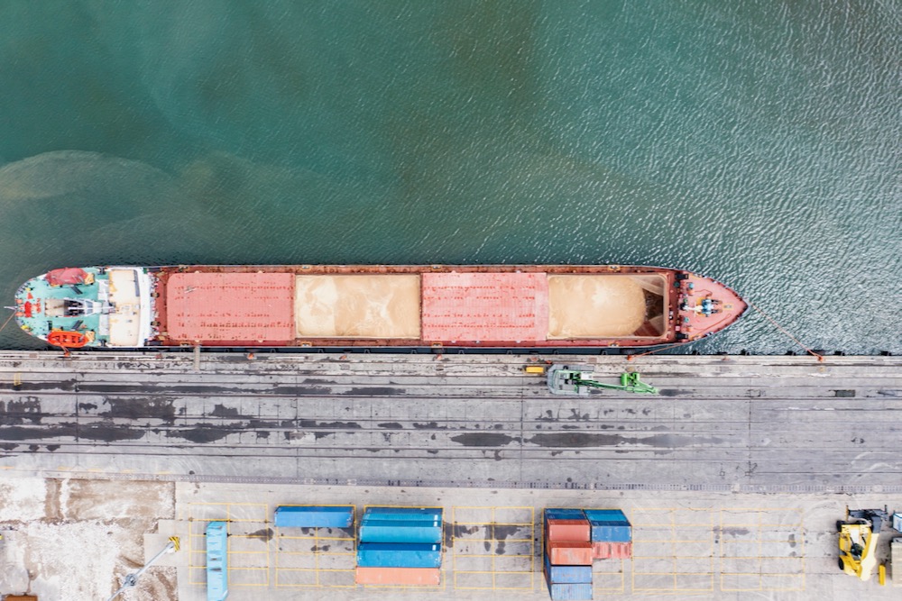File photo of a docked grain vessel at a Black Sea port in Turkey. (Bfk92/E+/Getty Images)
