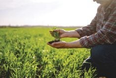 The scoring system is designed to evaluate three important dimensions of soil health — its chemical, biological and physical attributes — and offer a value between 0 and 100, much like a report card.