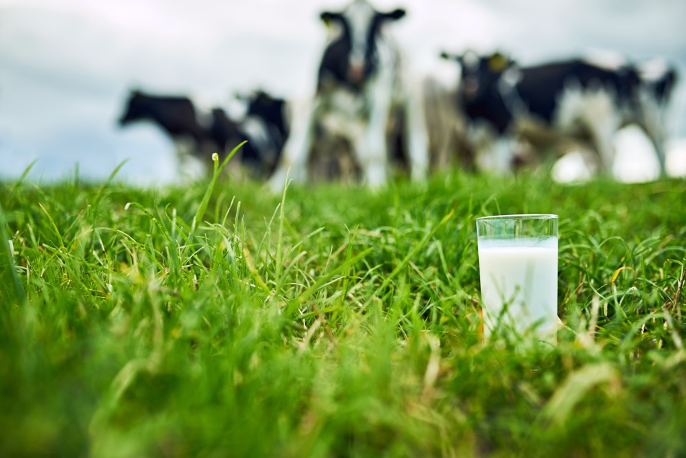 “The biggest innovation to disrupt farming,” is what Simon Somogyi calls it. What happens when milk doesn’t have to come from a cow?