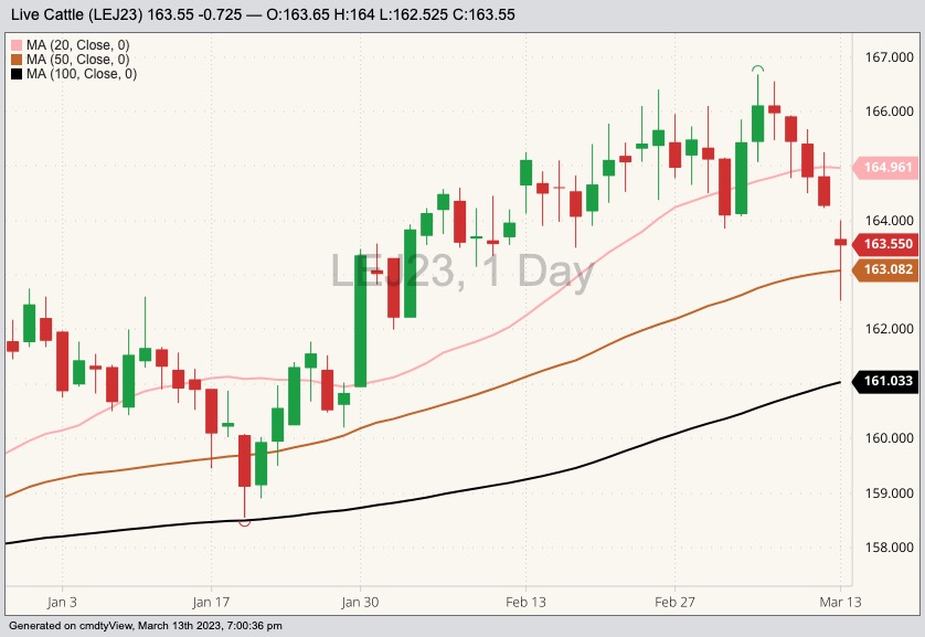 CME April 2023 live cattle with 20-, 50- and 100-day moving averages. (Barchart)
