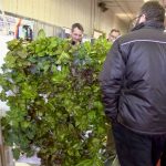 AgCanadaTV Special Feature: Homegrown greens