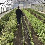 “Out here, on this land, there’s more of a feeling of permanence, so we feel like we can invest more in our business (and) ultimately feed more people.” – Krystyna Delahaye.