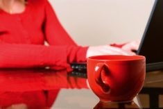 Educational opportunities are often available on-demand online and could include micro-credentials which certify the learning outcomes of short-term learning experiences.