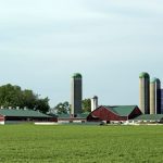 “We’ll go out and search for some business opportunities for them,” says Brent Metcalfe with Backswath Management.