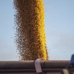 File photo of soybeans being loaded for transport in Argentina. (Wirestock/iStock/Getty Images)