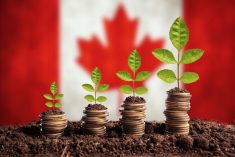 (Andreswd/iStock/Getty Images)