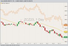 CBOT December 2023 corn with 20-day moving average (yellow line) and July 2023 corn (orange high/low/close). (Barchart)