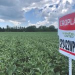 Croplan WinPaks are now available across Canada in the 2200 to 3375 CHU regions, with nine paired options for the eastern half of the country and four in the West.