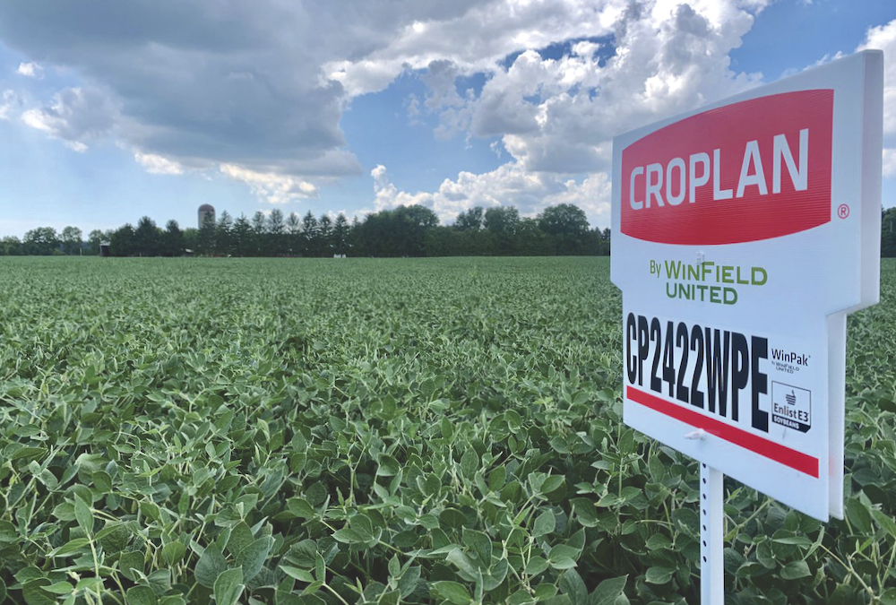 Croplan WinPaks are now available across Canada in the 2200 to 3375 CHU regions, with nine paired options for the eastern half of the country and four in the West.