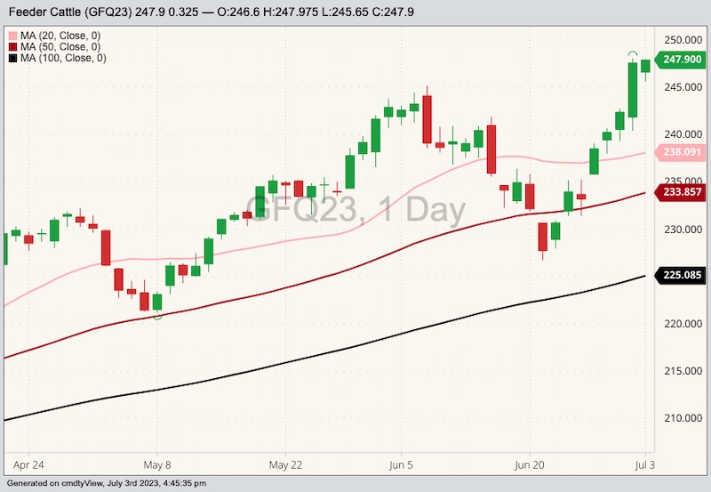 CME August 2023 feeder cattle with 20-, 50- and 100-day moving averages. (Barchart)
