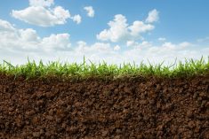 (Okea/iStock/Getty Images)
