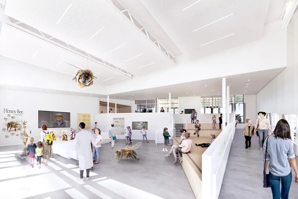 An artist’s rendering of the interior of the new HBRC.