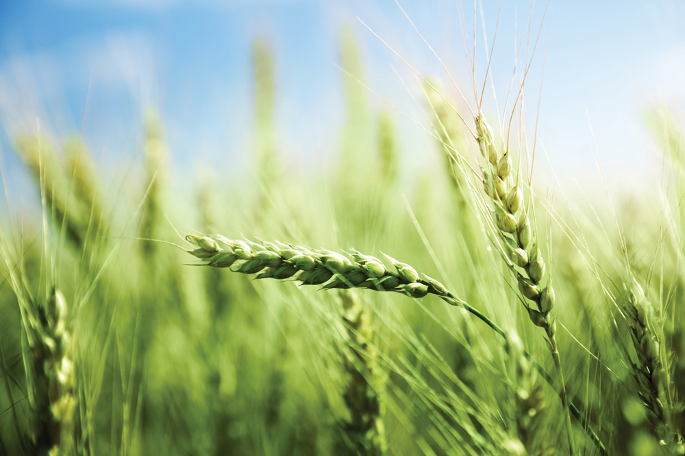  Photo: Thinkstock
