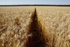   Photo: Reuters/Valentyn Ogirenko/File
