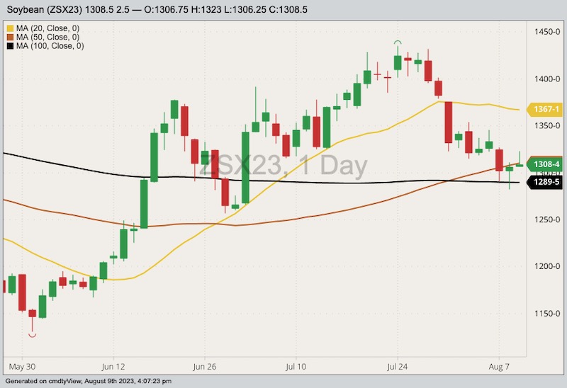 CBOT November 2023 soybeans with 20-, 50- and 100-day moving averages. (Barchart)
