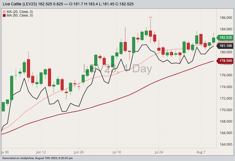 CME October 2023 live cattle with 20- and 50-day moving averages and August 2023 live cattle (black line). (Barchart)
