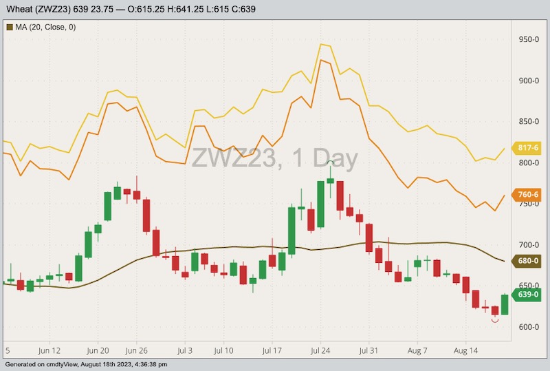 CBOT December 2023 soft red winter wheat with 20-day moving average, MGEX December 2023 hard red spring wheat (yellow line) and K.C. December 2023 hard red winter wheat (orange line). (Barchart)
