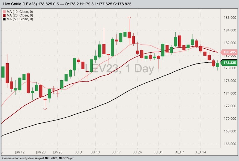 CME October 2023 live cattle with 10-, 20- and 50-day moving averages. (Barchart)

