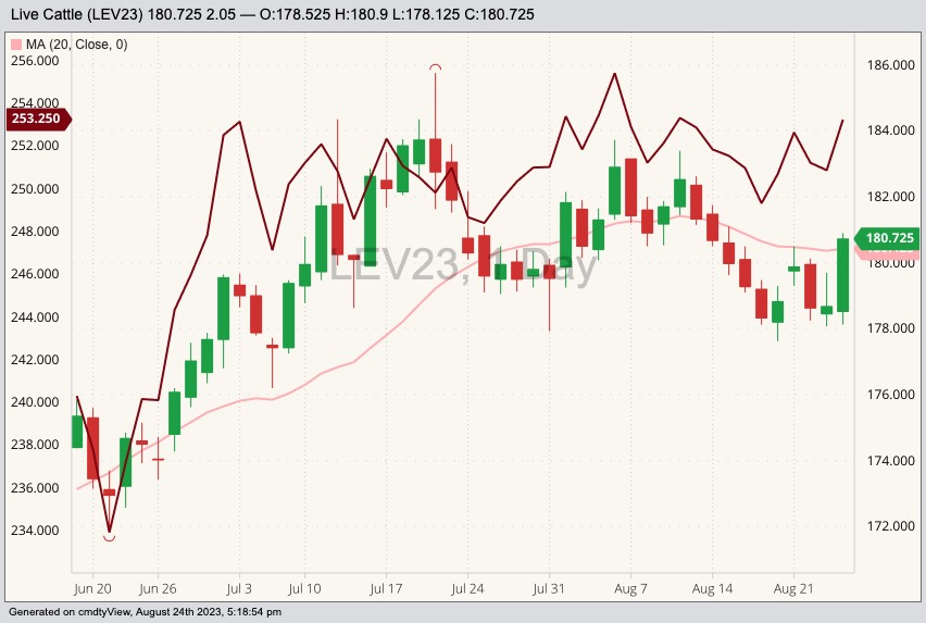 CME October 2023 live cattle with 20-day moving average (pink line, right index) and CME October 2023 feeder cattle (dark red line, left index). (Barchart)
