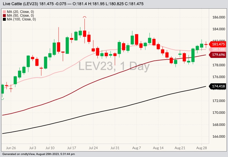 CME October 2023 live cattle with 20-, 50- and 100-day moving averages. (Barchart)
