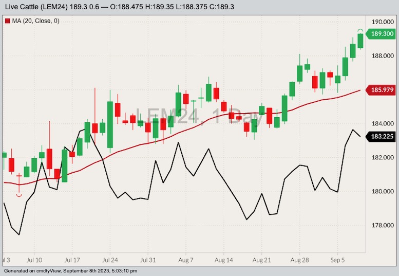 CME June 2024 live cattle with 20-day moving average and October 2023 live cattle (black line). (Barchart)
