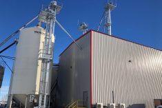 File photo of Scoular’s flax processing plant just outside Regina. (Scoular.com)