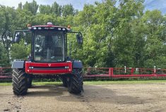 Stephen Vajdik and Adam Gurr run an Agrifac sprayer, made in the Netherlands, mounted with a Bilberry optical system. The sprayer has industry-leading features they wanted, including a recirculating boom, individually controlled nozzles and stable suspension.