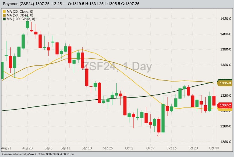 CBOT January 2024 soybeans with 20-, 50- and 100-day moving averages. (Barchart)
