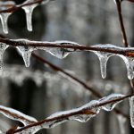 Following the spring melt, prairie weather is expected to be on the drier side. Photo: Thinkstock