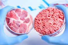 (Photo illustration: Nevodka/iStock/Getty Images)