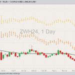 CBOT March 2024 soft red winter wheat with 20-day moving average, MGEX March 2024 hard red spring wheat (yellow high/low/close) and K.C. March 2024 hard red winter wheat (orange H/L/C). (Barchart)