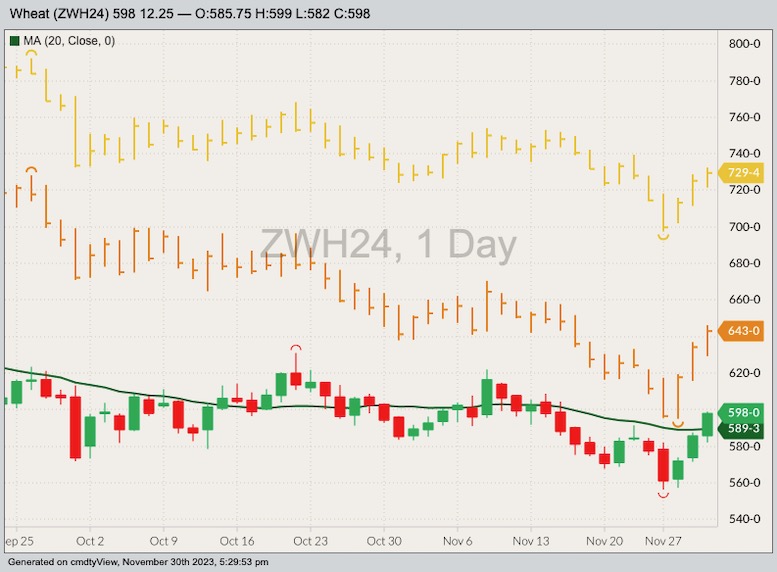 CBOT March 2024 soft red winter wheat with 20-day moving average, MGEX March 2024 hard red spring wheat (yellow high/low/close) and K.C. March 2024 hard red winter wheat (orange H/L/C). (Barchart)
