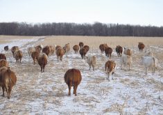 Prairie forecast: Average to above average temperatures to continue