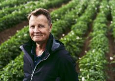 "They (customers) have to be able to find us easily. We have to make sure we’re on the right store shelf." — Sandford Gleddie.