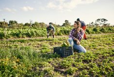 ‘By creating spaces where individuals feel supported in both their work and their personal lives, employees are more inclined to stay working at the farm rather than accepting a better offer.’