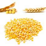 Photo: Thinkstock