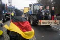After a protest demonstration in front of the Brandenburg Gate, a woman with a German flag stands in front of a tractor on which dolls with the faces of Federal Chancellor Scholz, Economics Minister Habeck and Foreign Minister Baerbock are mounted with the signature &#8220;The scourge of our country.&#8221;
Photo: Sebastian Christoph Gollnow/dpa via Reuters Connect
