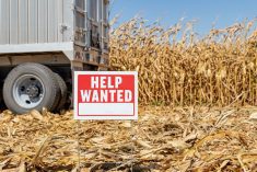 Help Wanted