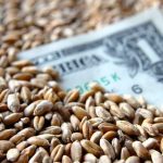 U.S. grains: Soybeans and corn continue to be pressured by global supplies
