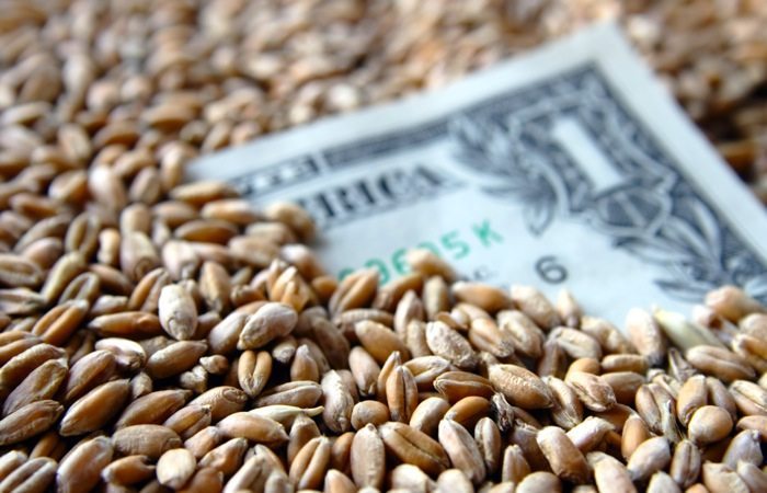 U.S. grains: Soybeans and corn continue to be pressured by global supplies