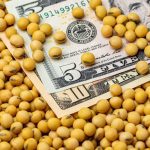 Photo: JJ Gouin/iStock/Getty Images Plus