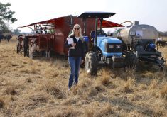 From her global travels, Amy Cronin returns with a key belief: “We need to develop a risk mindset — and we need to help each other do that using peer groups.”