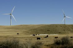 (Photo courtesy Canada Beef Inc.)