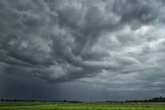 Photo: SusanneSchulz/iStock/Getty Images